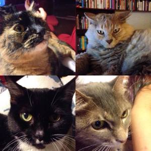 13330907_10206837867607598_7305560379763487380_n